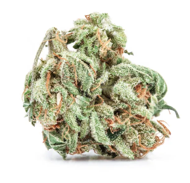 THCA Premium Flower - Quarter Pound